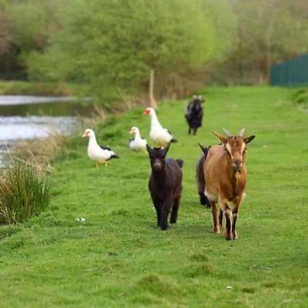 Gites De La Ferme De Vur Ven Gouvieux Esterno foto